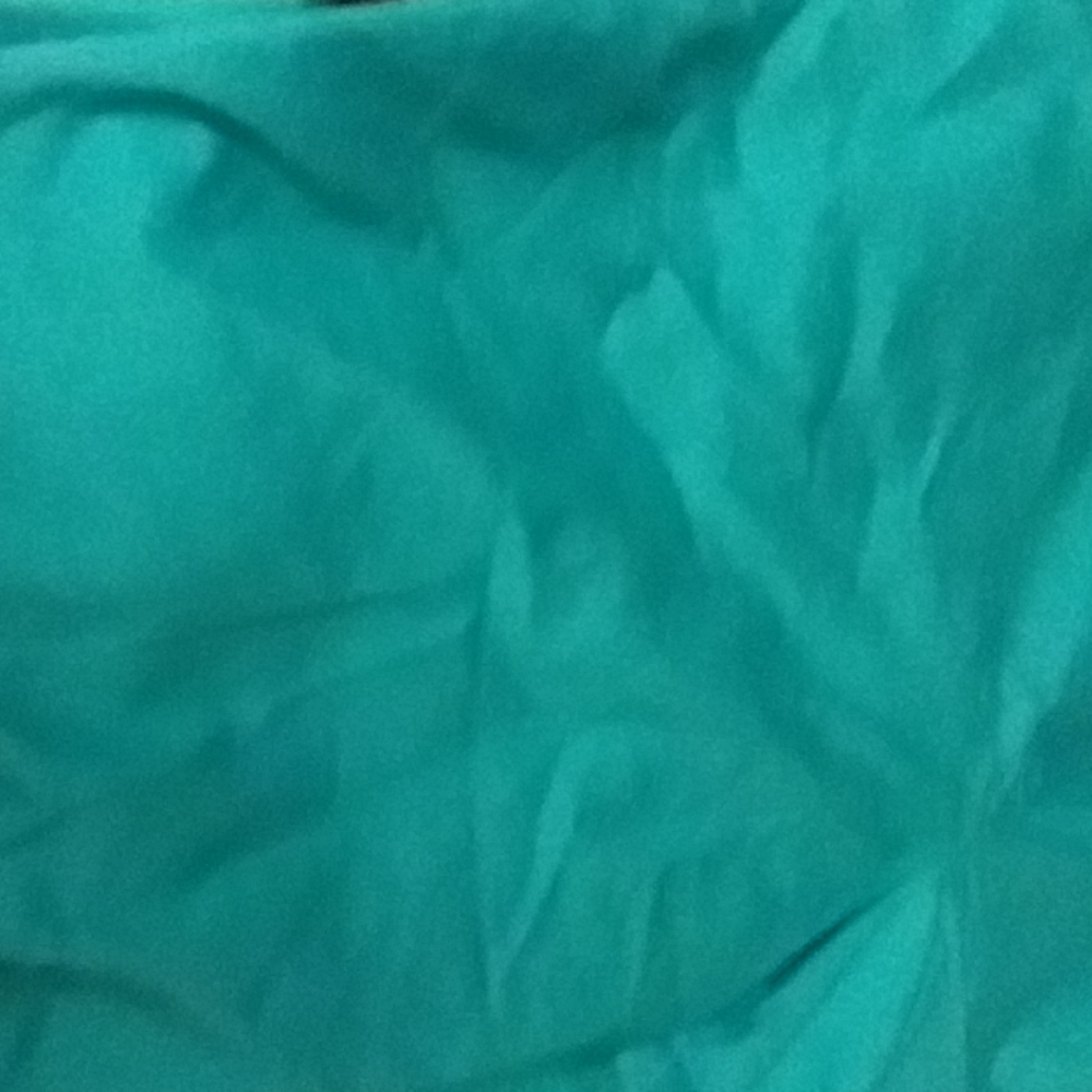 Blue skorts